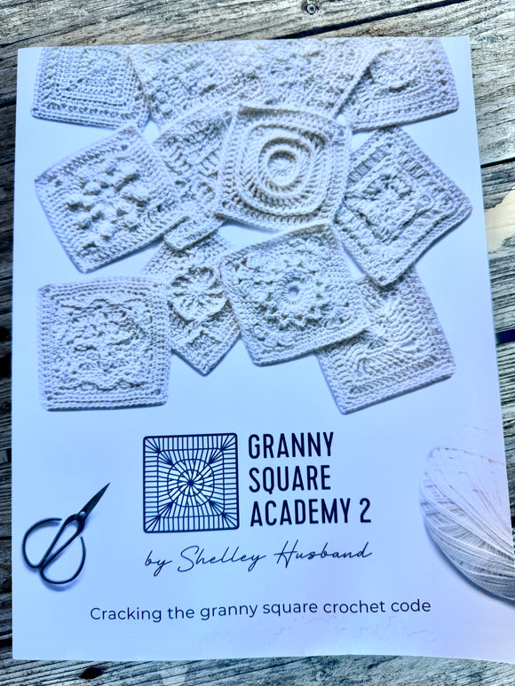 Crochet Pattern Book - Granny Square Academy 2 by Shelley Husband (Paperback)